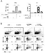 CD3 Antibody in Flow Cytometry (Flow)