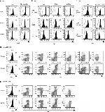 CD3 Antibody in Flow Cytometry (Flow)