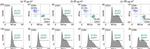 CD4 Antibody in Flow Cytometry (Flow)