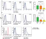 CD3 Antibody in Flow Cytometry (Flow)