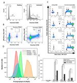 CD3 Antibody in Flow Cytometry (Flow)