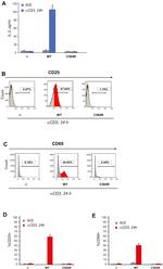 CD25 Antibody in Flow Cytometry (Flow)