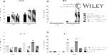 IL-17A Antibody in Flow Cytometry (Flow)