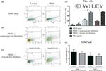 CD4 Antibody in Flow Cytometry (Flow)