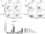 CD4 Antibody in Flow Cytometry (Flow)