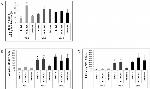 CD4 Antibody