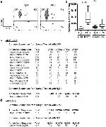 CD62L (L-Selectin) Antibody in Flow Cytometry (Flow)