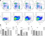 CD11c Antibody in Flow Cytometry (Flow)