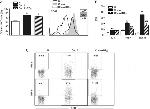 CD69 Antibody in Flow Cytometry (Flow)