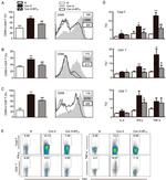 CD69 Antibody in Flow Cytometry (Flow)