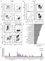 CD8a Antibody in Flow Cytometry (Flow)