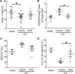 CD4 Antibody in Flow Cytometry (Flow)