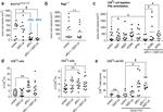 CD45 Antibody in Flow Cytometry (Flow)