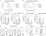 CD8a Antibody in Flow Cytometry (Flow)