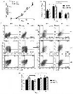 CD4 Antibody in Flow Cytometry (Flow)