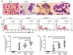 CD19 Antibody in Flow Cytometry (Flow)