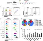 CD4 Antibody in Flow Cytometry (Flow)