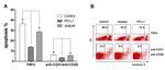 CD279 (PD-1) Antibody in Flow Cytometry (Flow)