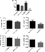 CD8a Antibody in Flow Cytometry (Flow)