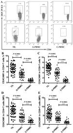 CD4 Antibody in Flow Cytometry (Flow)