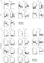 CD64 Antibody in Flow Cytometry (Flow)