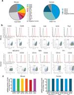 CD5 Antibody in Flow Cytometry (Flow)