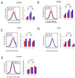 CD5 Antibody in Flow Cytometry (Flow)