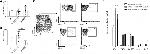 CD7 Antibody in Flow Cytometry (Flow)