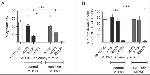 Ly-6G/Ly-6C Antibody in Flow Cytometry (Flow)