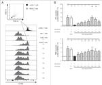 CD8a Antibody in Flow Cytometry (Flow)