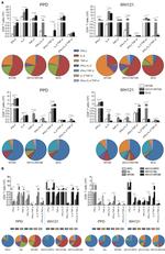 IL-2 Antibody in Flow Cytometry (Flow)