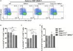 CD45.1 Antibody in Flow Cytometry (Flow)