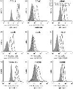 CD40 Antibody in Flow Cytometry (Flow)