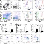 CD11c Antibody in Flow Cytometry (Flow)