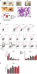 CD31 (PECAM-1) Antibody in Flow Cytometry (Flow)