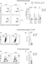 TIM-4 Antibody in Flow Cytometry (Flow)