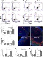 F4/80 Antibody in Flow Cytometry (Flow)