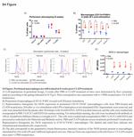 iNOS Antibody in Flow Cytometry (Flow)