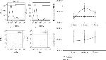 CD11b Antibody in Flow Cytometry (Flow)