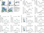 MHC Class II (I-A/I-E) Antibody in Flow Cytometry (Flow)