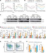 CD45.2 Antibody in Flow Cytometry (Flow)