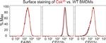 CD11c Antibody in Flow Cytometry (Flow)