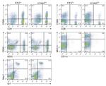 CD11c Antibody in Flow Cytometry (Flow)