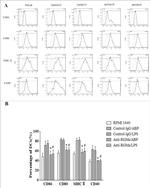 CD80 (B7-1) Antibody in Flow Cytometry (Flow)