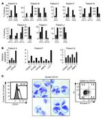 CD33 Antibody in Flow Cytometry (Flow)