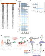 CD34 Antibody in Flow Cytometry (Flow)