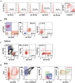 Human Hematopoietic Lineage Antibody in Flow Cytometry (Flow)