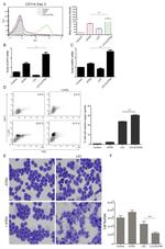 CD11b Antibody in Flow Cytometry (Flow)