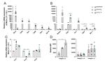 CD18 (LFA-1 beta) Antibody in Flow Cytometry (Flow)