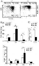 CD93 (AA4.1) Antibody in Flow Cytometry (Flow)